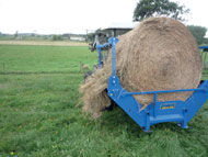 Feeding Round Bale