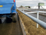 Feeding round bales into troughs