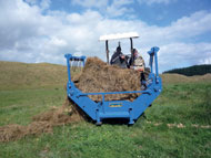 Square Bales